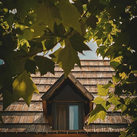 Guesthouse Pashko Theth Exterior photo