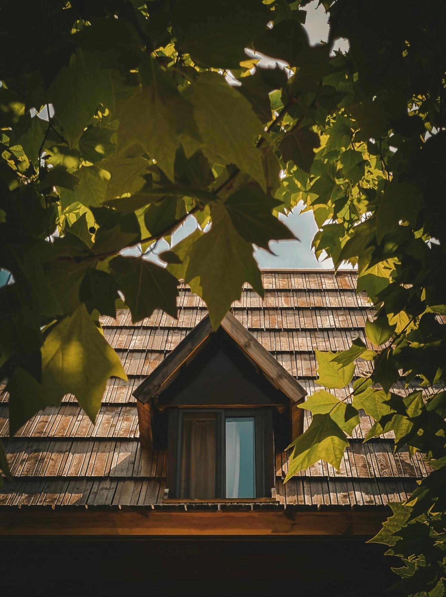 Guesthouse Pashko Theth Exterior photo